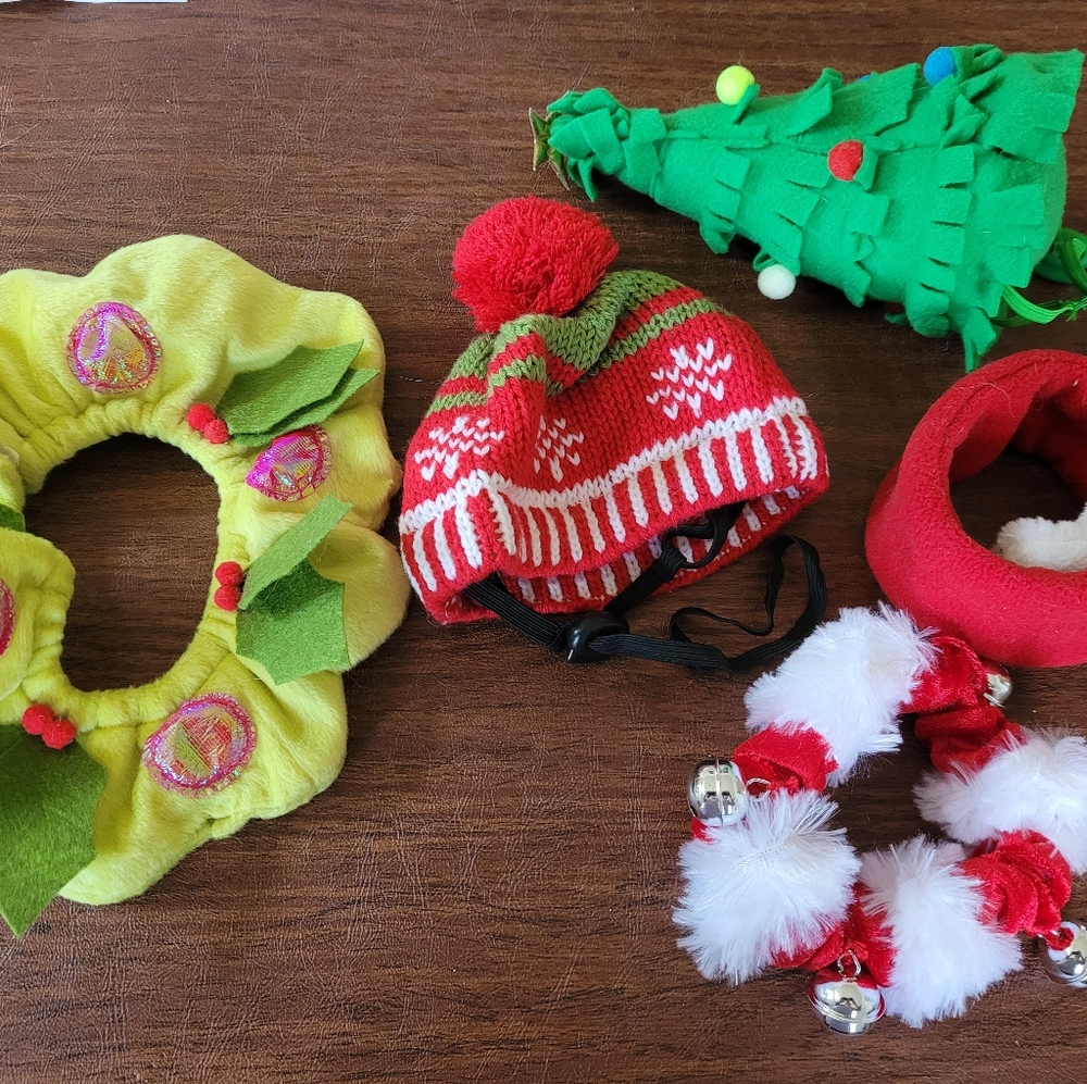 Lot of Christmas cat costumes